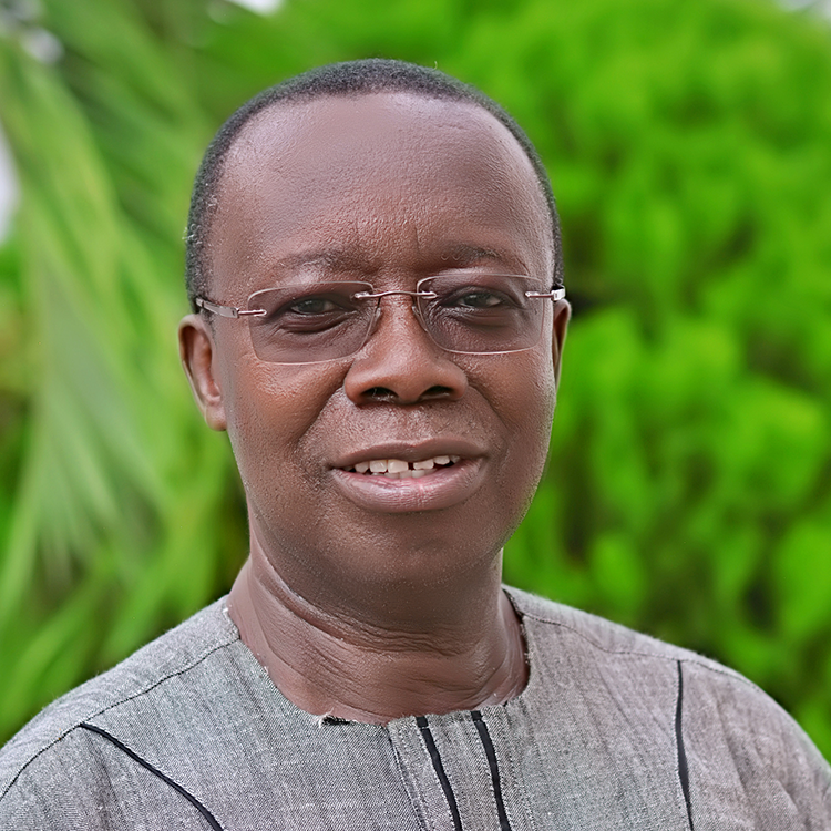 Dr. David Sarfo Ameyaw