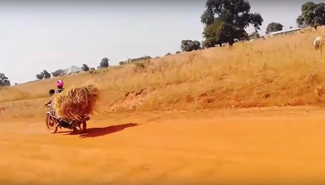 PROBLEMS FACING SMALLHOLDER FARMERS